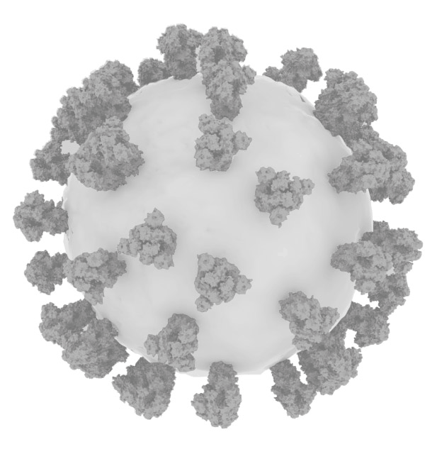 SARS-CoV-2