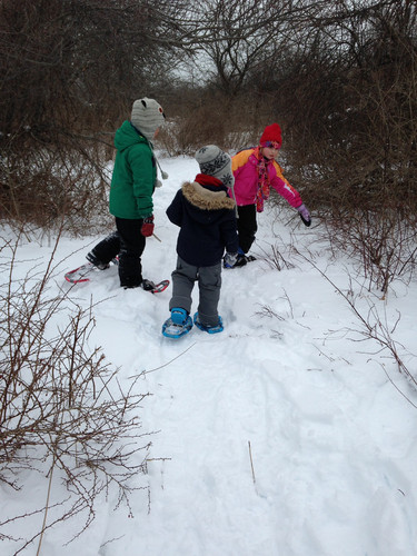 Searching for tracks!