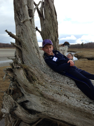 Marsh relaxation