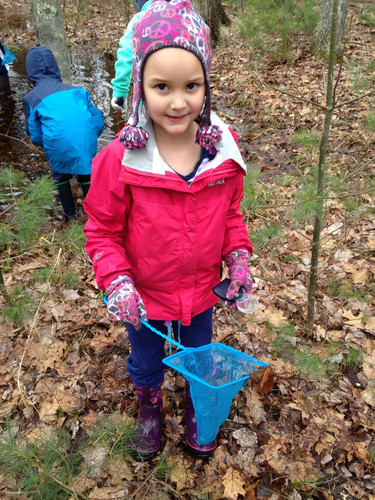 Vernal Pool Fun