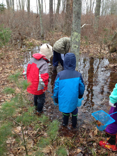 Vernal pool hunt