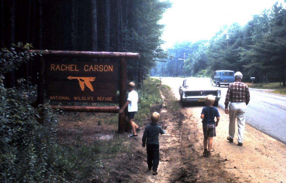 1970 Aug 368 Rachelcarson Edit