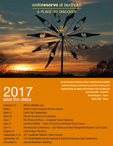 2017 save-the-date flier with 'anemone of gyres