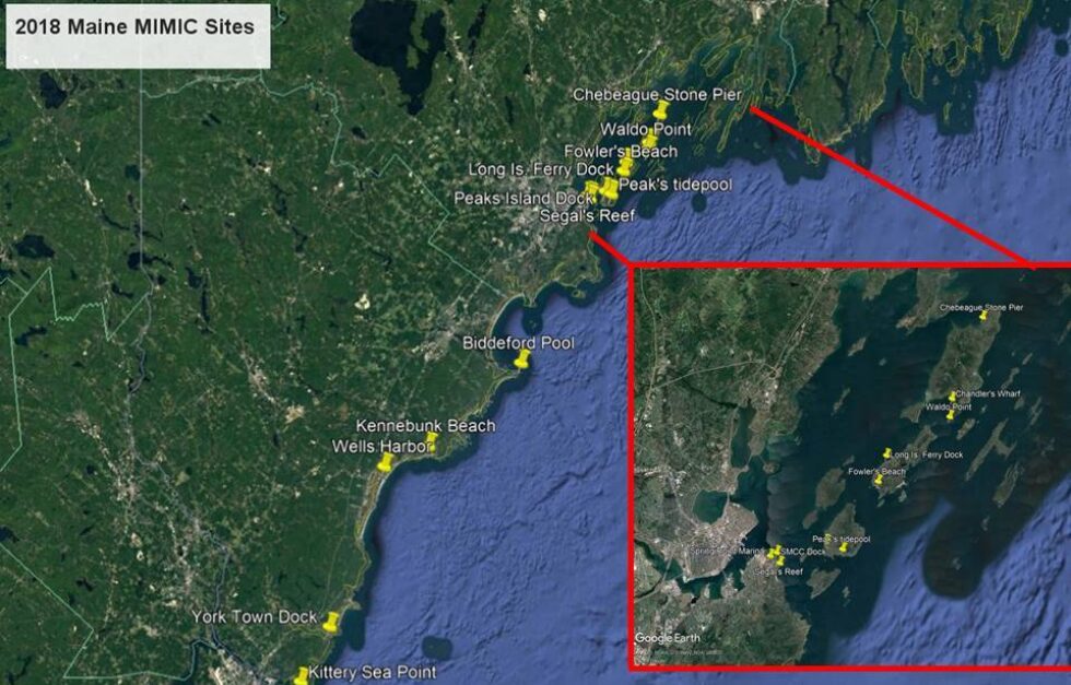 2018 All Mimic Sites Maine