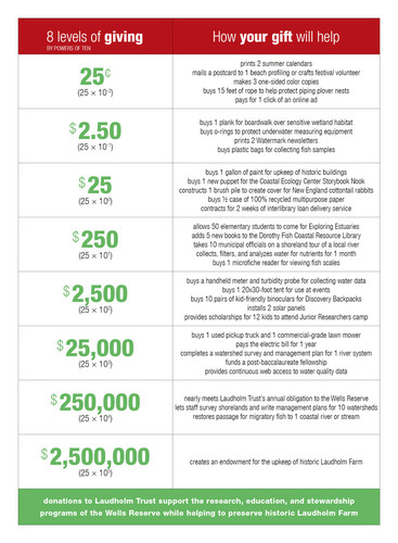 Levels of Giving chart shows how far donations go