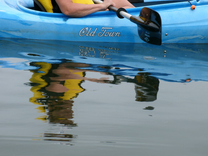 Reflection