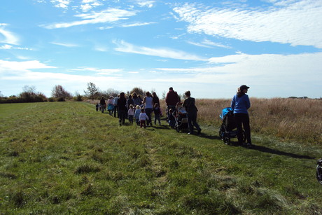 Across field