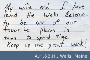 Member Testimonial: One of our favorite places...