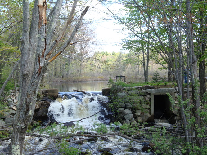 Alfred Mills Dam