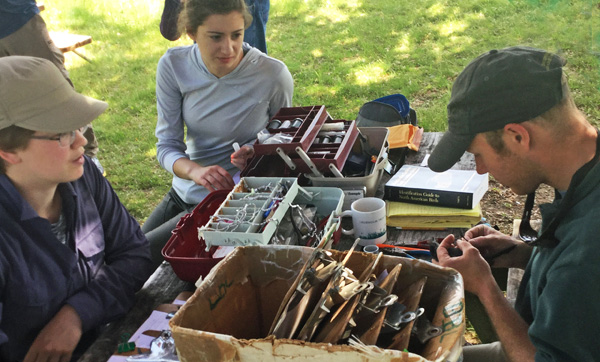 Bird-banding session by Biodiversity Research Institute, May 31, 2016.