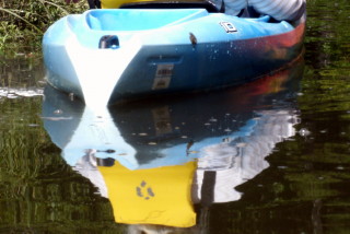 reflection
