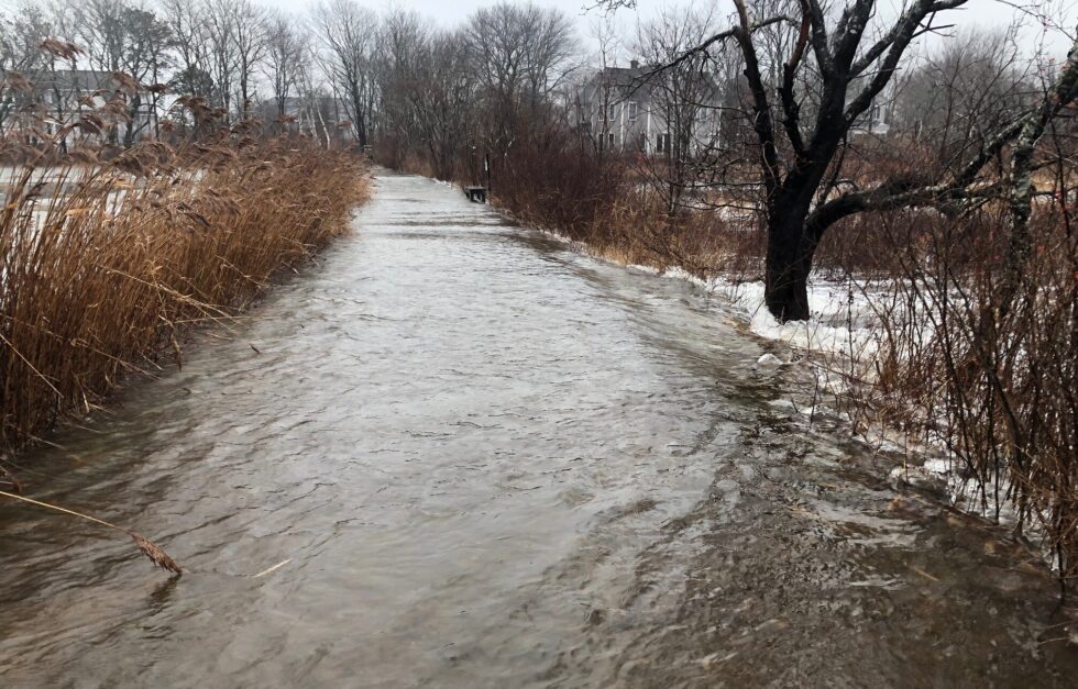 Barrier Beach Trail