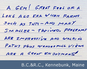 Member Testimonial: A Gem...