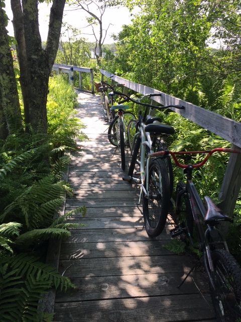 Bikes on Trails