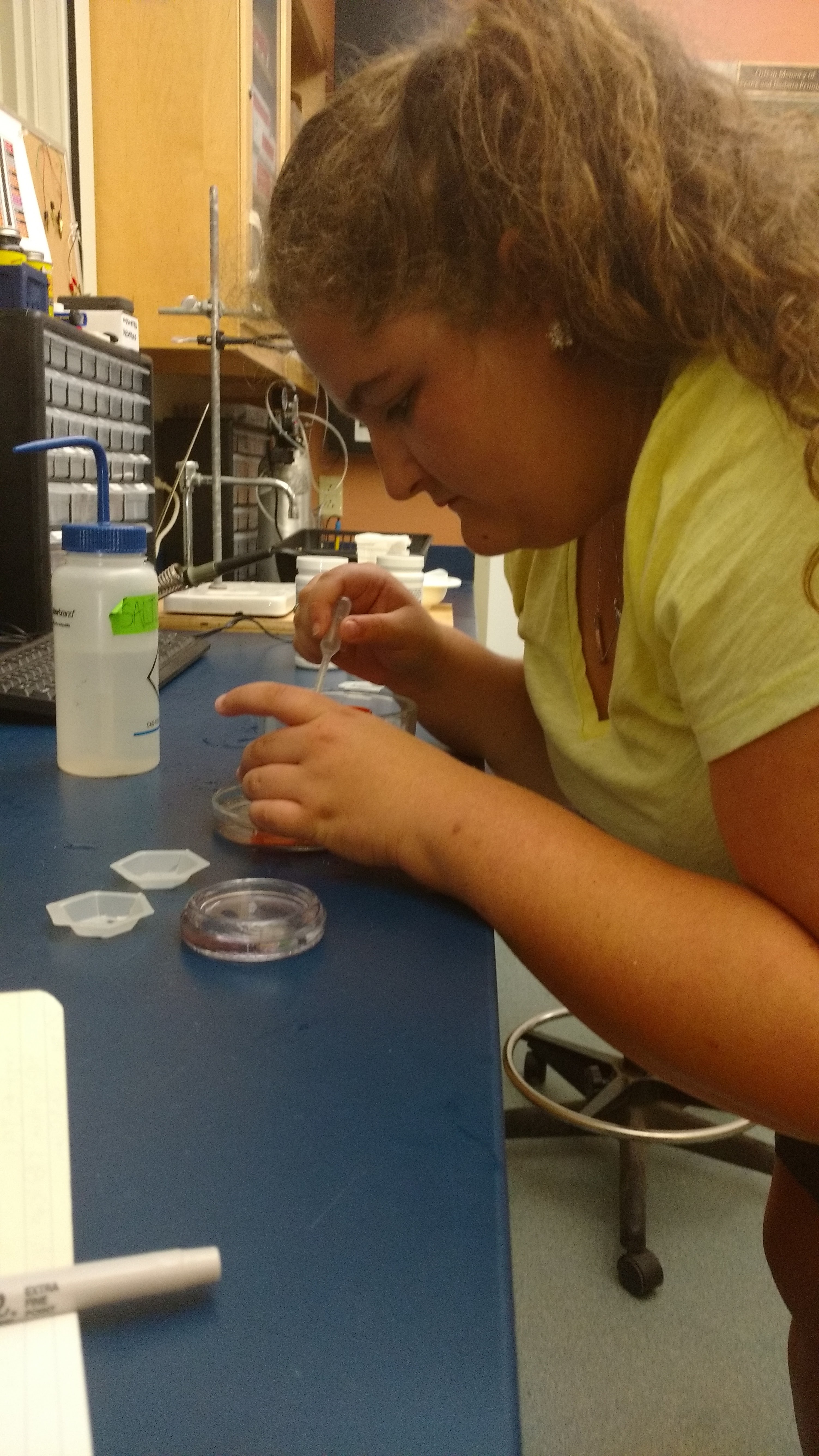Research Intern Blair Morrison works with green crab larvae in the research lab.