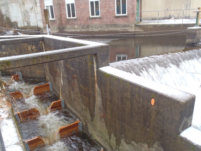 KKWWD Dam and Fish Ladder