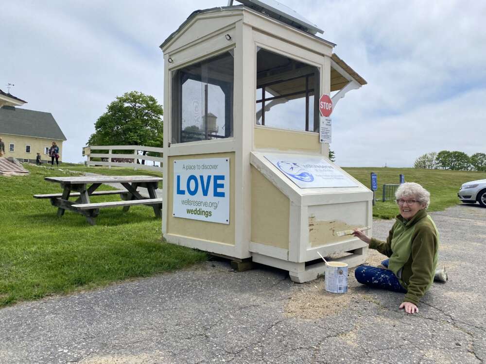 Facilities volunteer Carolyn B paints the welcome booth.