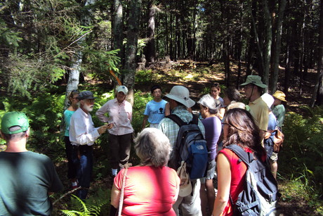 Group image