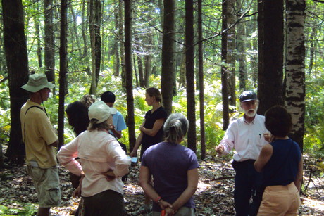 Mushroom group