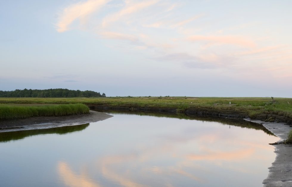 Estuary Reflections