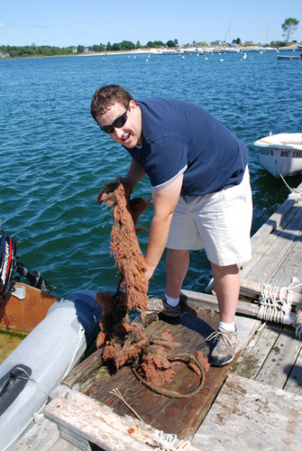 Marine Invasives
