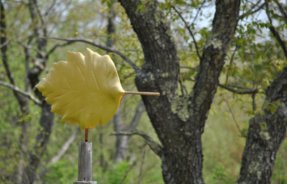bowdren leaf