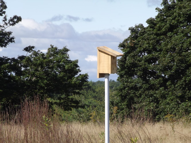 Birdhouse