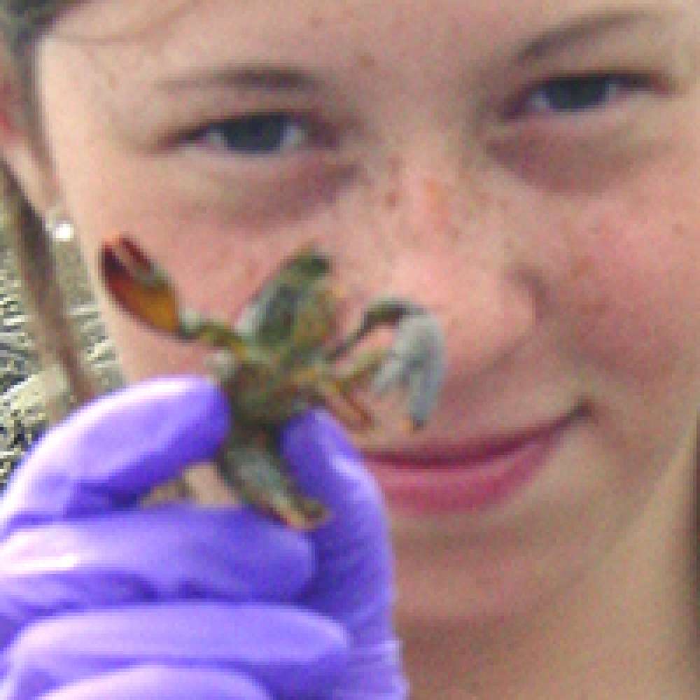 Girl showing small lobster to the camera