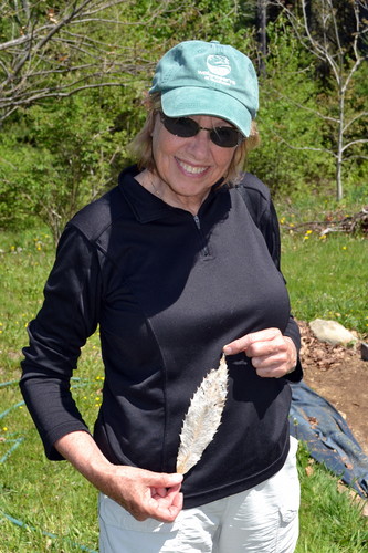 Eileen Willard