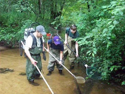 Electrofishing, Wells Reserve