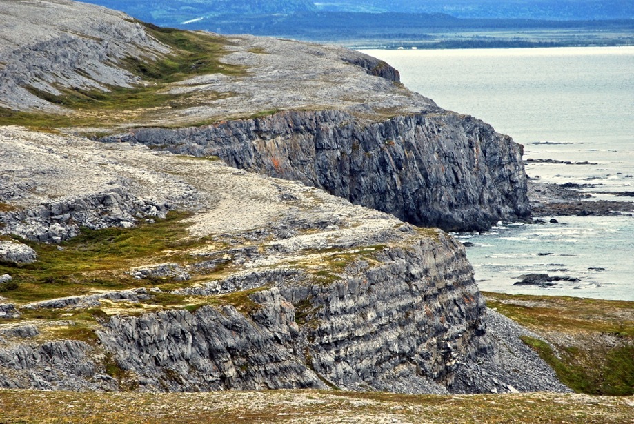 Limestone barrens Limestone barrens