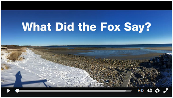 Screenshot of fox video on Facebook