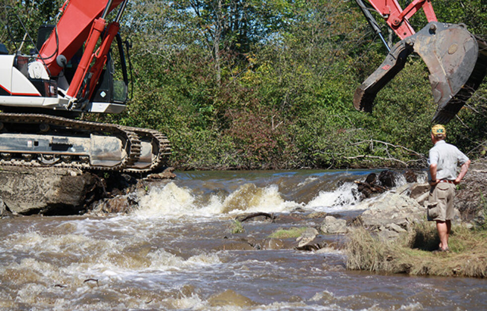 Goff Mill Brook Web