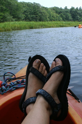 Sue's view