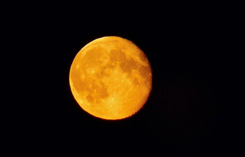 Harvest Moon  7916064846