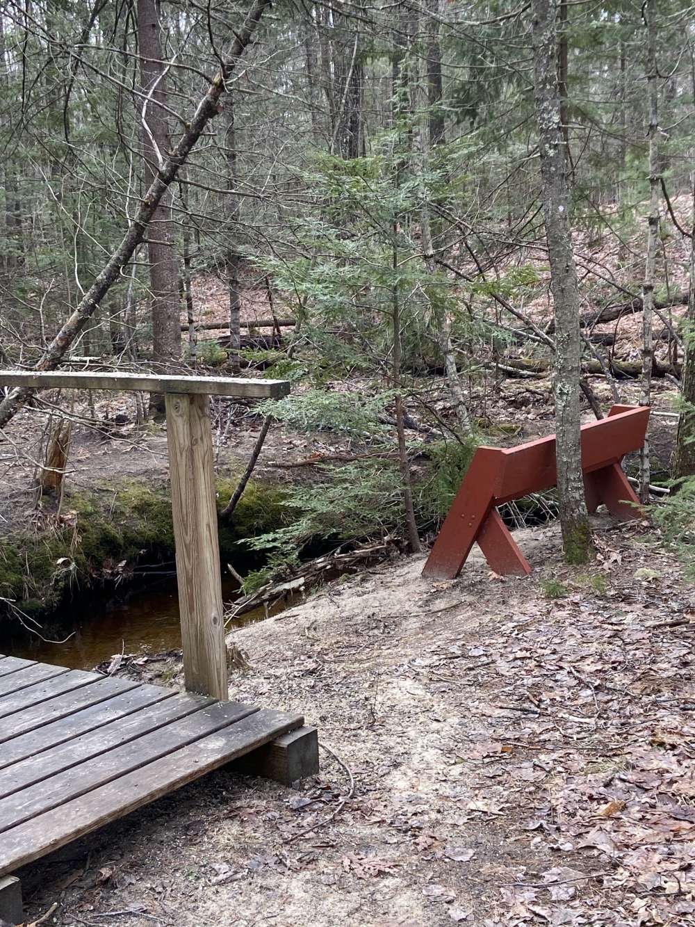 A bench and footbridge over a stream in a mixed forest during early spring.