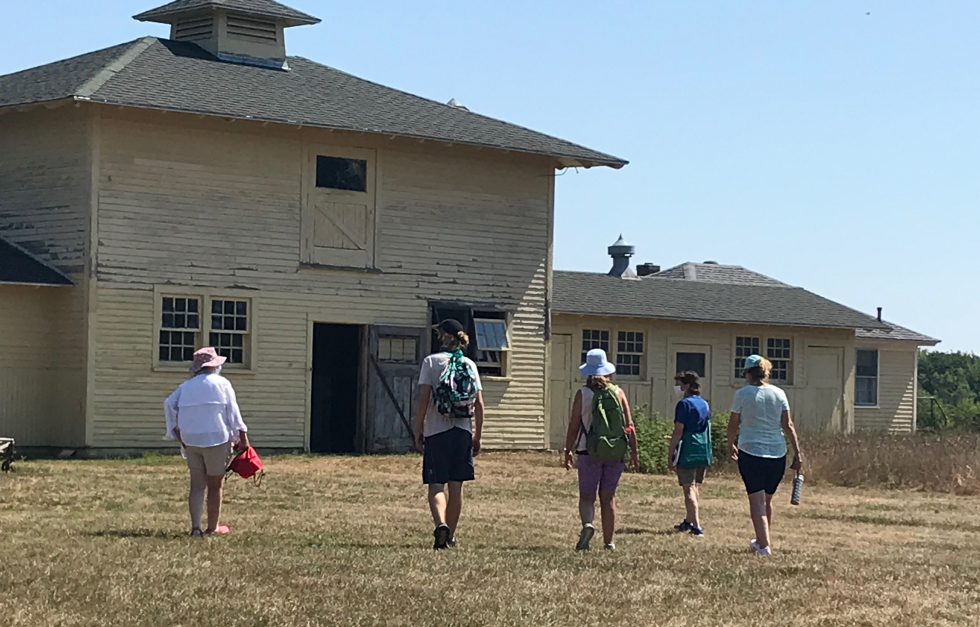 Bull barn tour group 2020