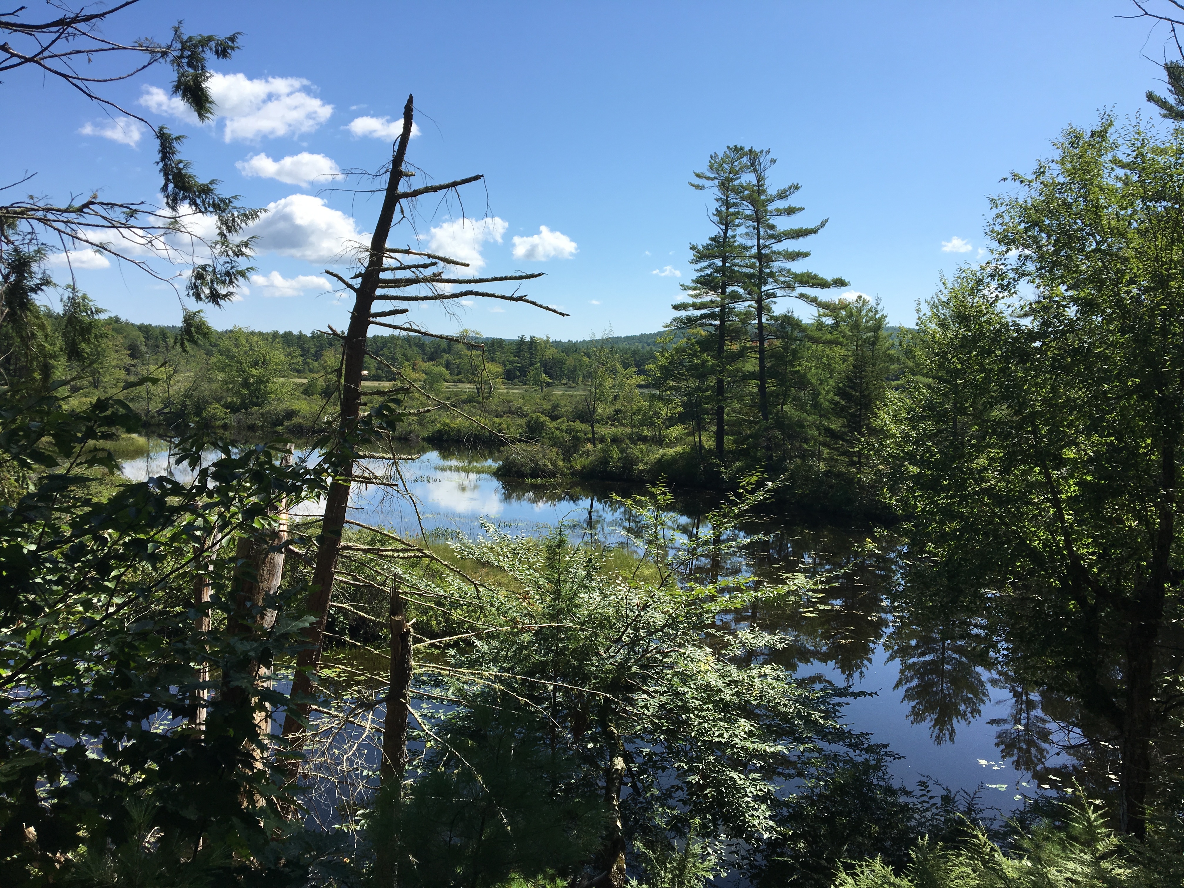 Salmon Falls River from the Branch Hill Farm looking toward the Maine border.