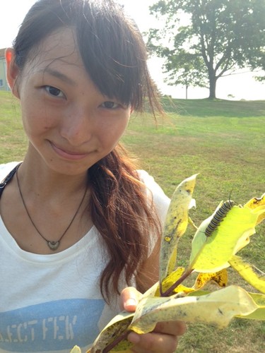 Monarch rescued