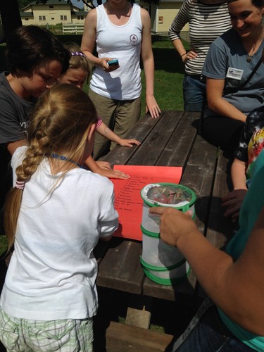 The campers match up the names and numbers of the butterflies