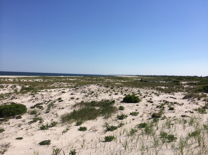 Dunes