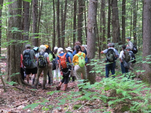 A group standing at the edge of the floodplain, facing a forest.