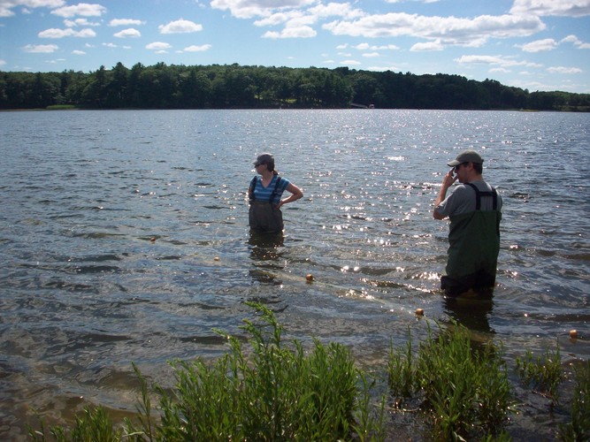 A wonderful day to pull the wings of the fyke nets!