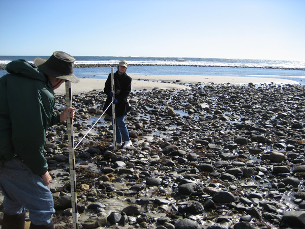 Laudholm Beach Volunteers