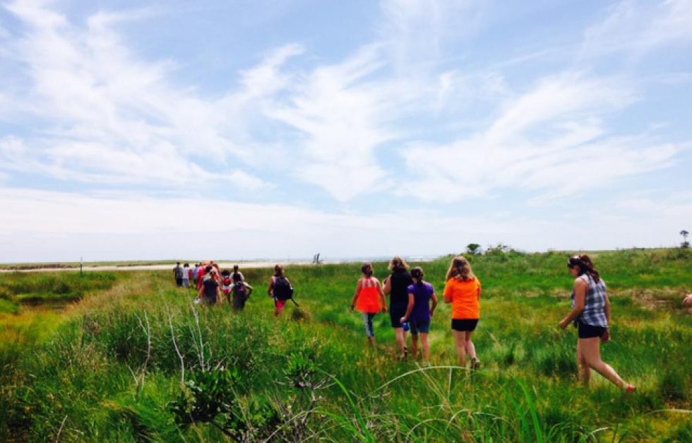 Marsh2
