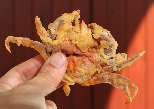 Best way to deal with invasive green crab