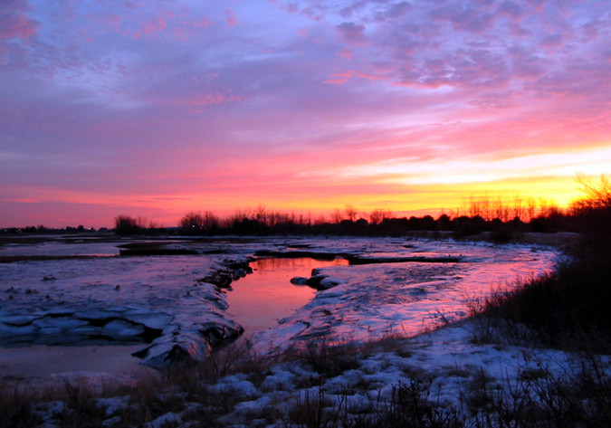 Spring is dawning