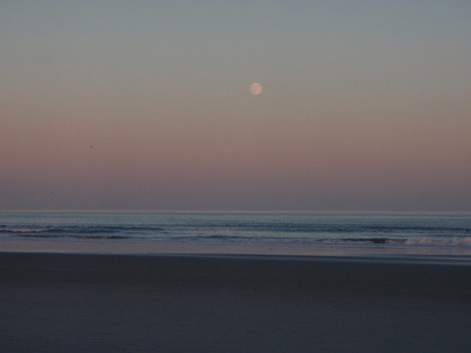 Ogunquit Beach