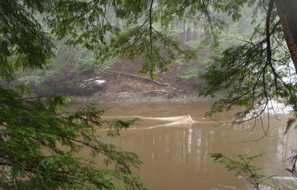 P4050001