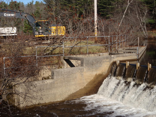 Branch Brook ladder